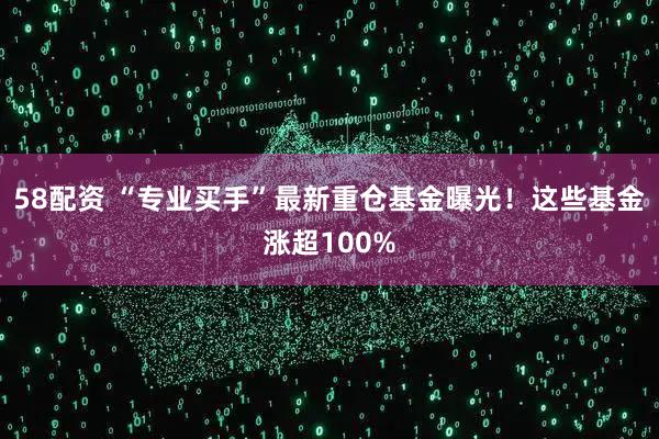 58配资 “专业买手”最新重仓基金曝光！这些基金涨超100%