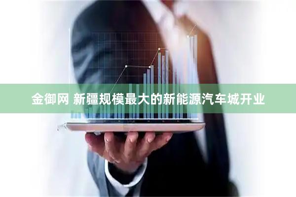 金御网 新疆规模最大的新能源汽车城开业