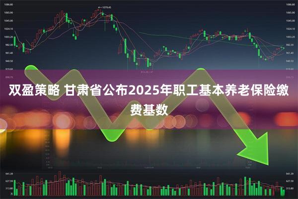 双盈策略 甘肃省公布2025年职工基本养老保险缴费基数