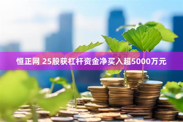 恒正网 25股获杠杆资金净买入超5000万元