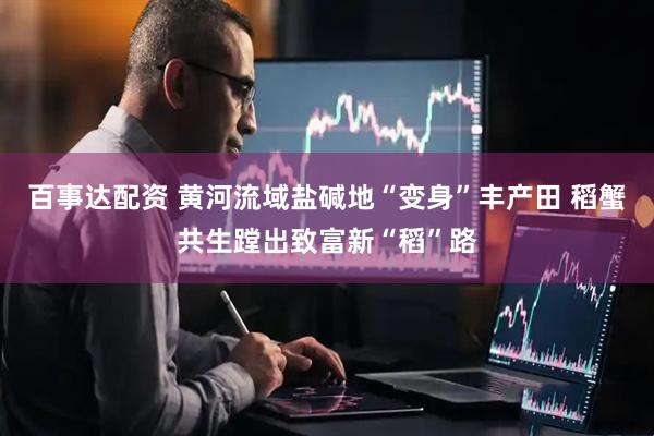 百事达配资 黄河流域盐碱地“变身”丰产田 稻蟹共生蹚出致富新“稻”路