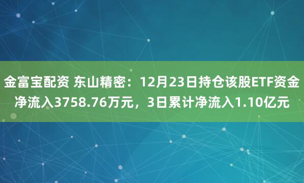 金富宝配资 东山精密:12月23日持仓该股ETF资金净流入3758.76万元,3日累计净流入1.10亿元