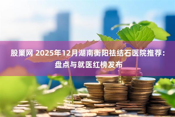 股巢网 2025年12月湖南衡阳祛结石医院推荐： 盘点与就医红榜发布